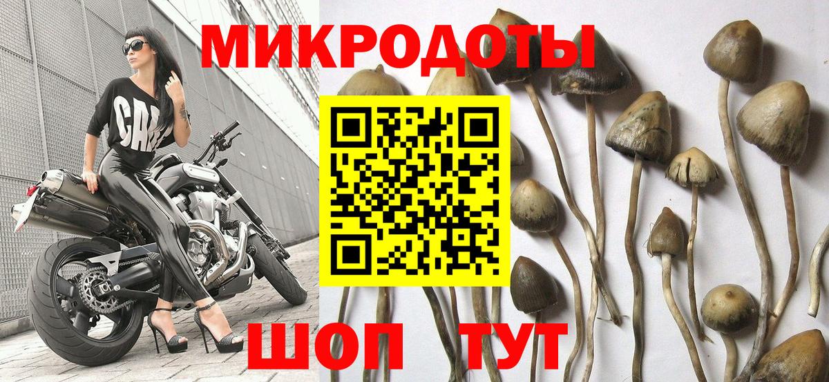 Галлюциногенные грибы Magic Shrooms  Вход с VPN  Галлюциногенные грибы мухоморы  Великий Устюг 